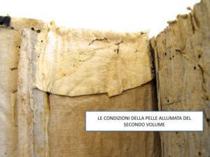 Stefania Zeppieri | Conservation and Restoration of Library Assets, Works of Art on Paper and Related Artifacts | Restoration of Rare Books